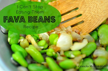 Fava Bean Recipe